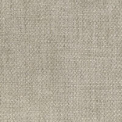 Plain Linen 055 - Silver Something - Neutral Colour Family