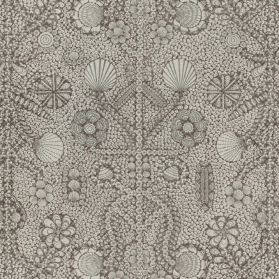 Shell Grotto 006 - Neutral Colour Family