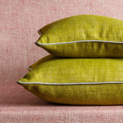 Cushion in Euphorbia